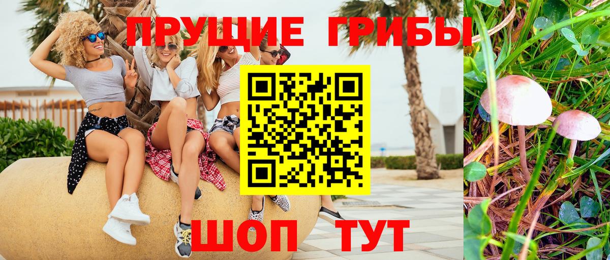 Псилоцибиновые грибы Psilocybe  Галлюциногенные грибы мухоморы  Вход с VPN  Зеленодольск 