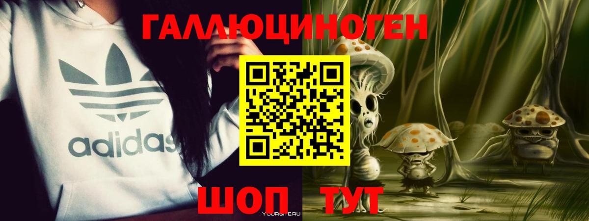Псилоцибиновые грибы мицелий Зеленодольск